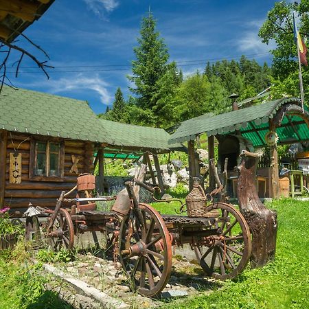 Casa Rustik Bucovina Villa Fundu Moldovei Exterior photo